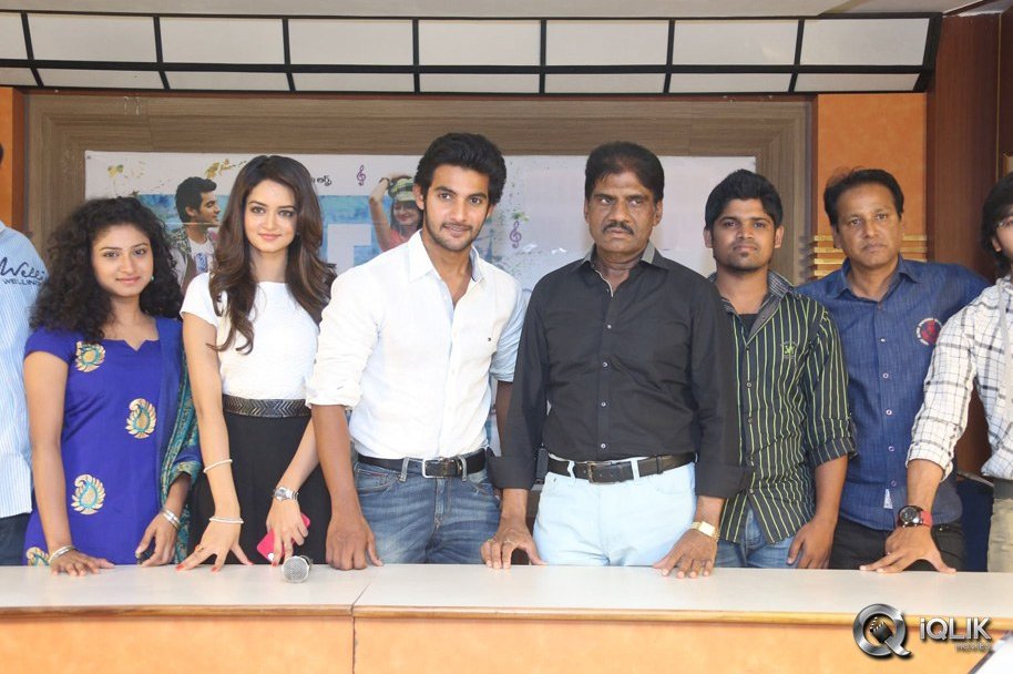 Pyaar-Mein-Padipoyane-Movie-Success-Meet